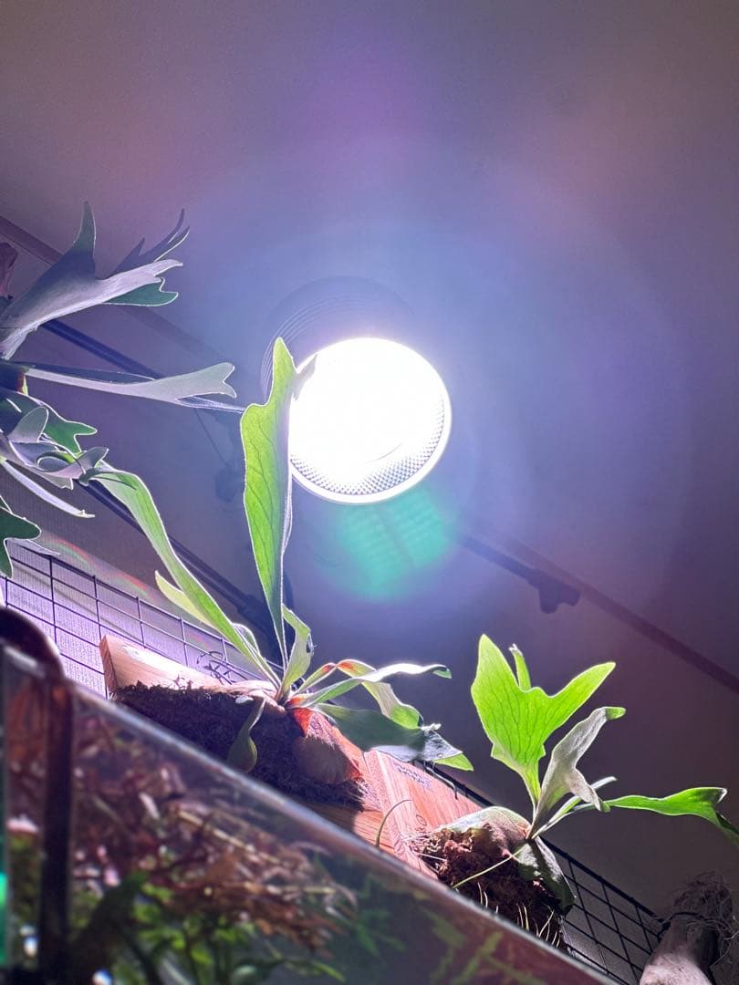 【調光・スケジュール管理】RBGスポットライト