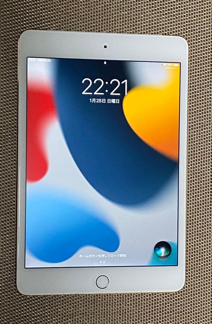 ✨iPad mini 4Wi-Fi+cellular 128GB
