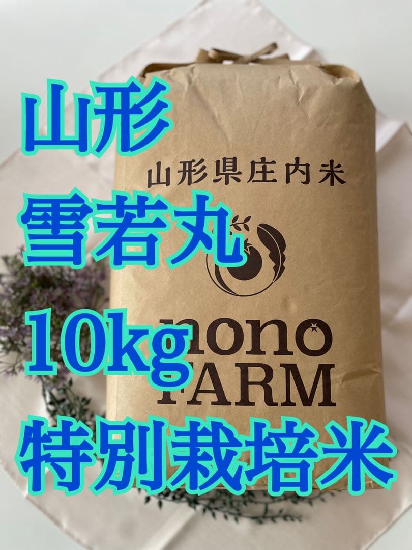 雪若丸　10kg 山形　令和7年　特別栽培米