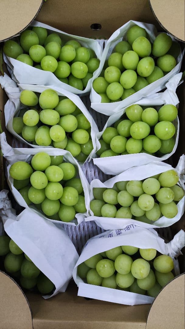 J*e様 シャインマスカット　5キロ　8入　山形県産