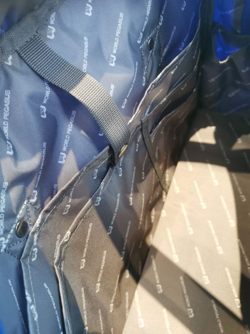 2026年新作✨WORLD PEGASUS 青