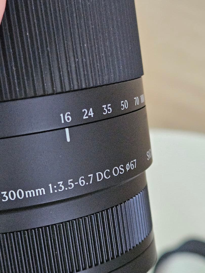 SIGMA 16-300mm F3.5-6.7 DC OS Eマウント