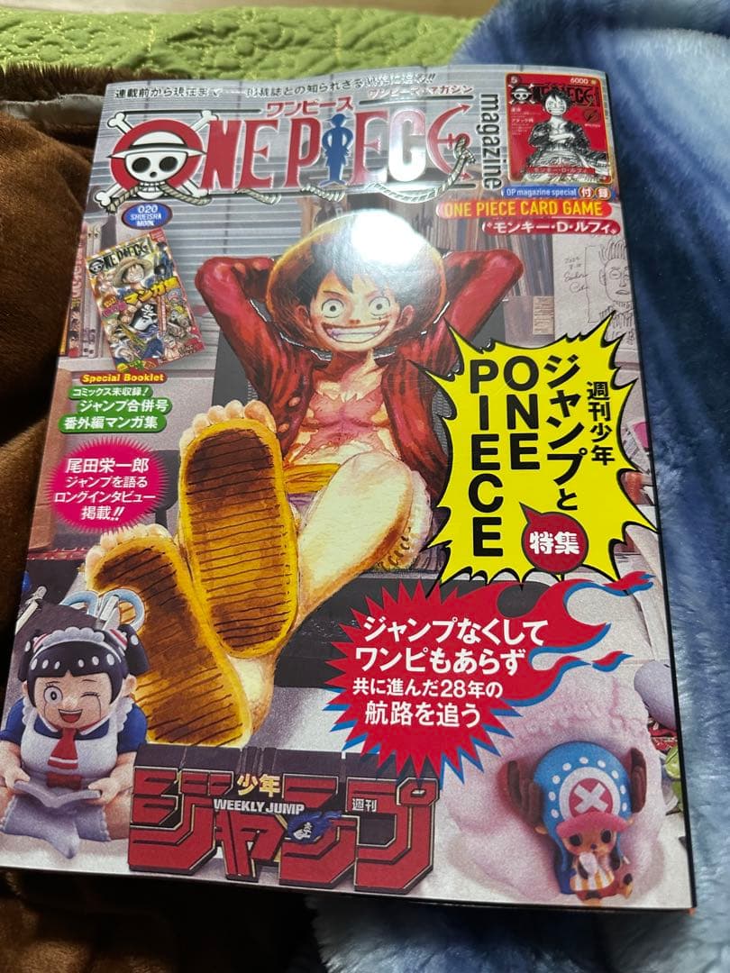 ワンピースマガジン 20号 付属カード付き