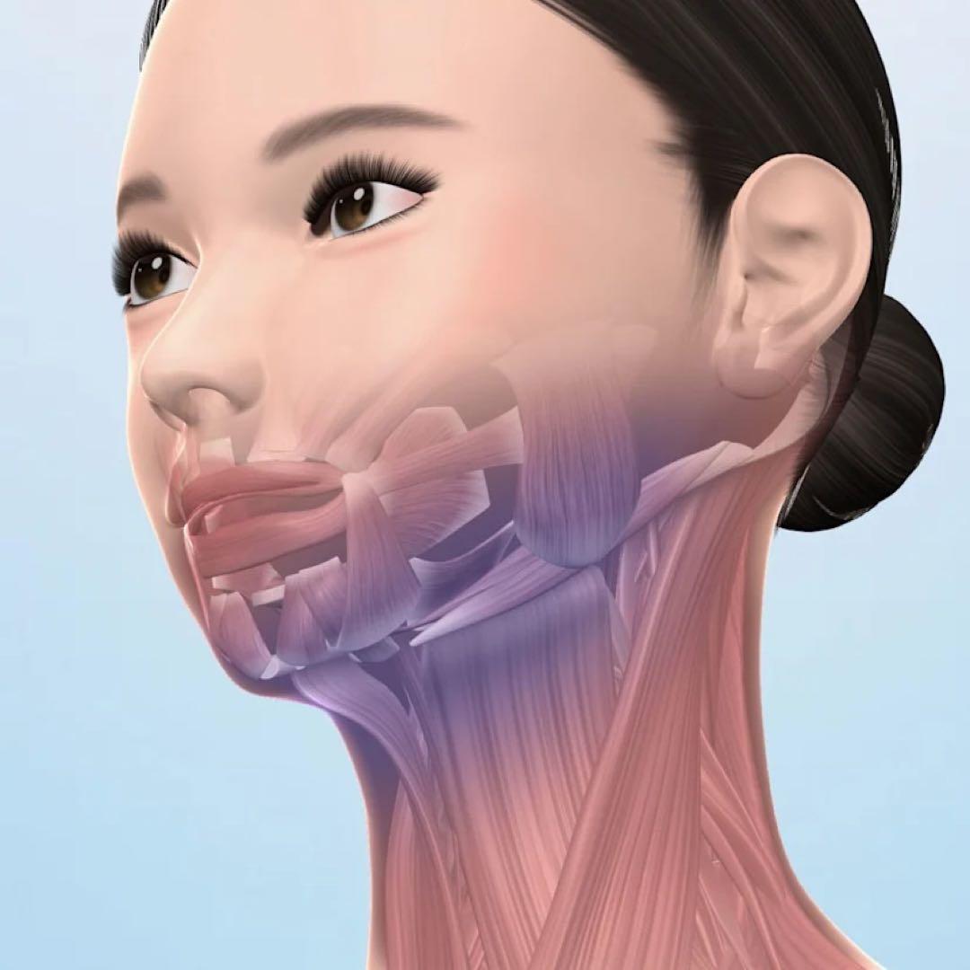 新品未開封　ルネサンス　スタイリーフェイス　StylyFale　EMS 美顔器