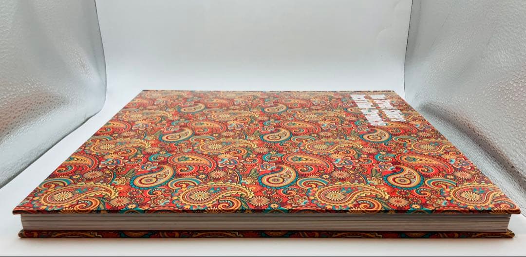 ストリートスライダーズ Rock’n’ Roll Chronicle