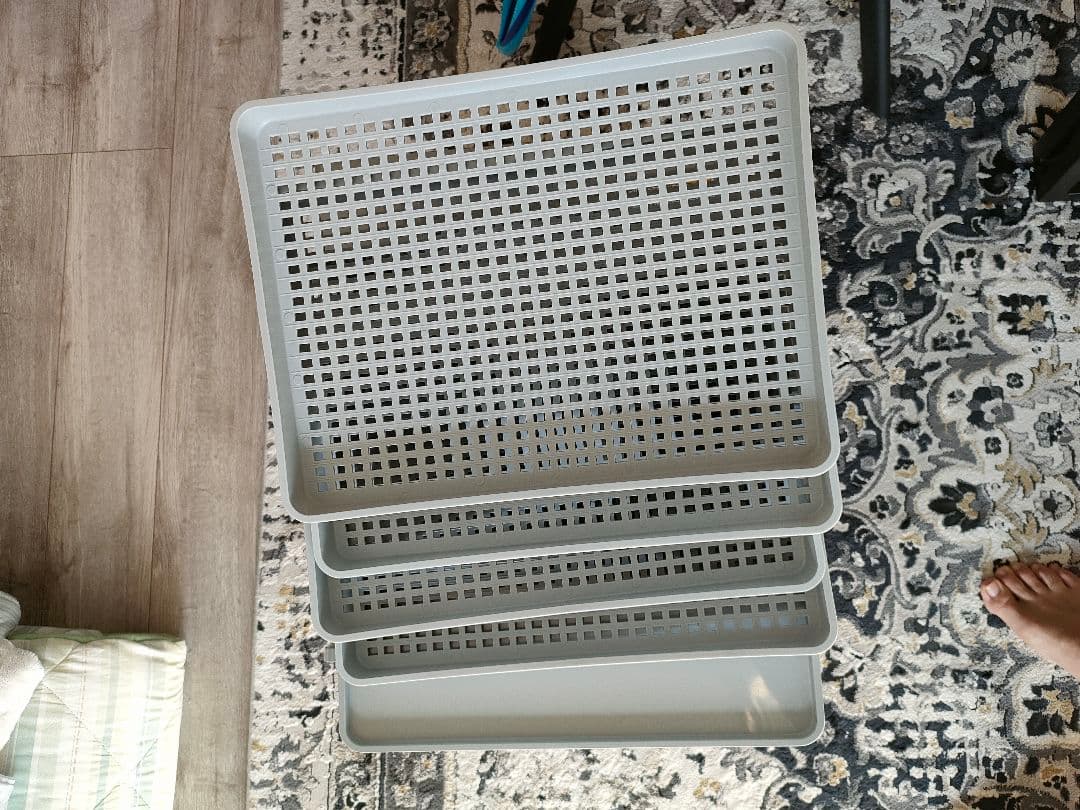 DELIDRY 食品乾燥機 黒