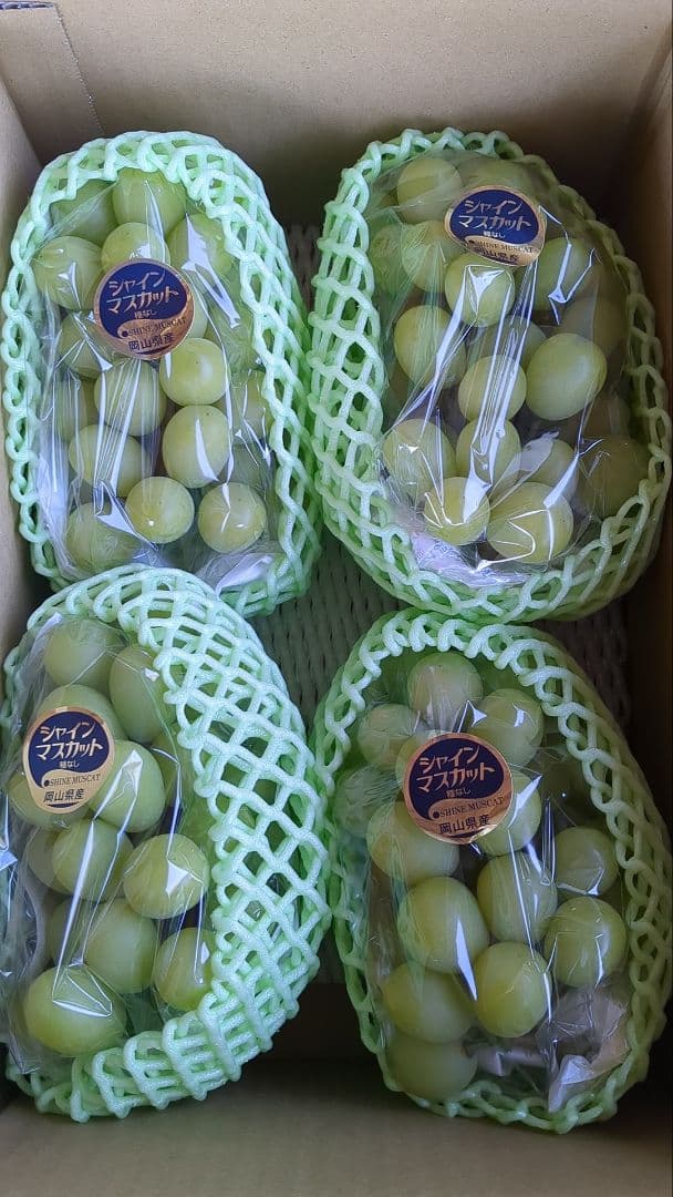 ⑥岡山県産シャインマスカット4kg