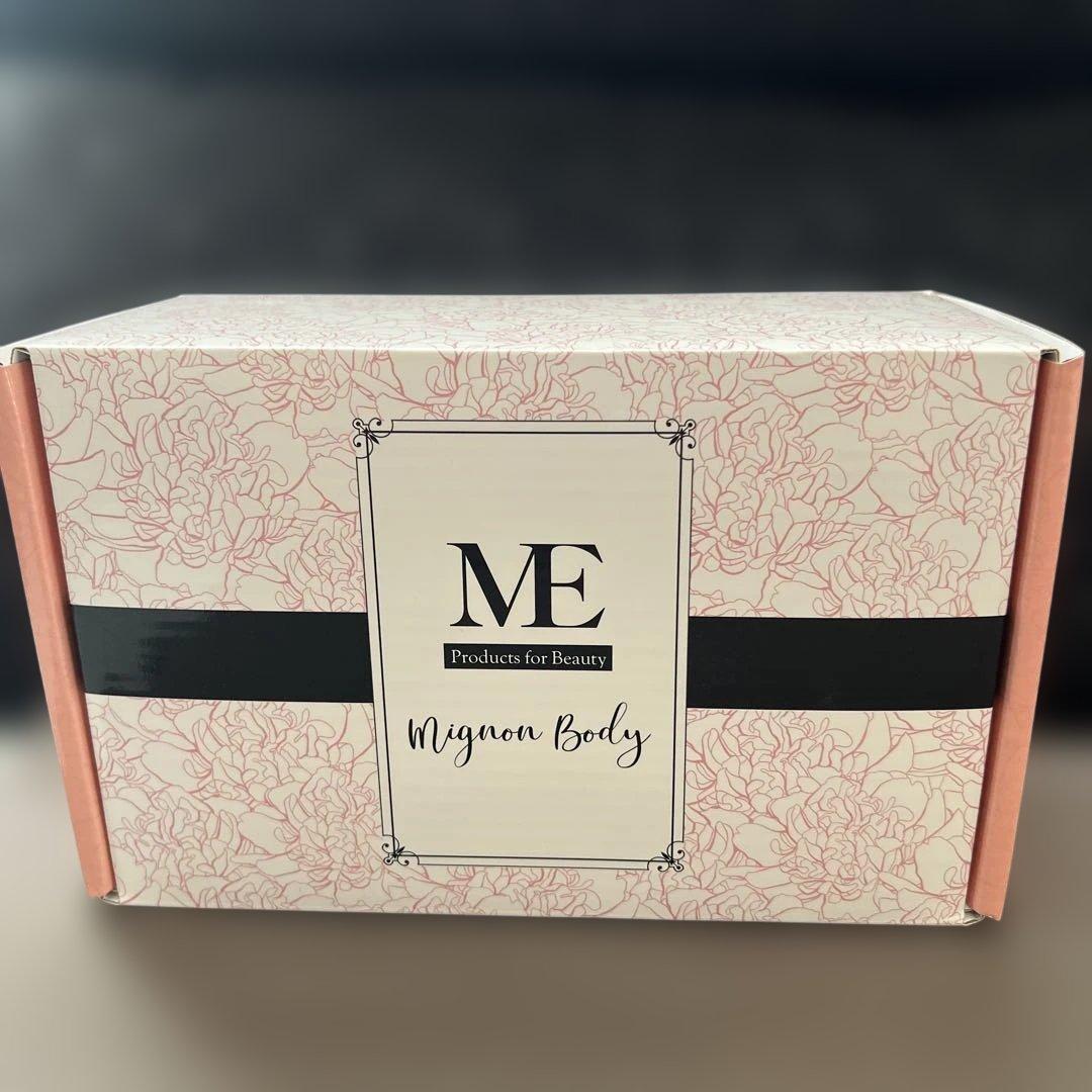 MEミニョンボディ　動作確認済み