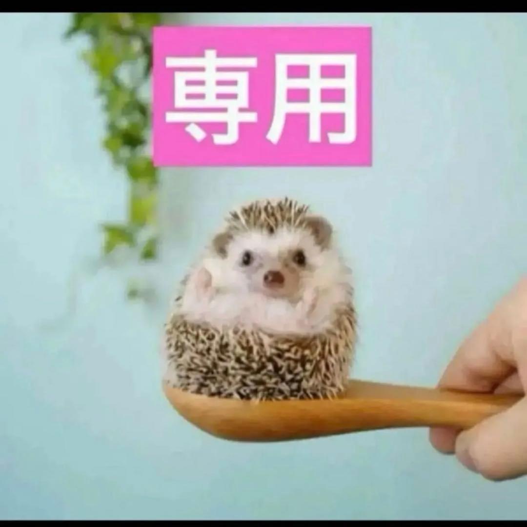 3点、ミスディオールハンドクリーム2個、コンシーラー1N