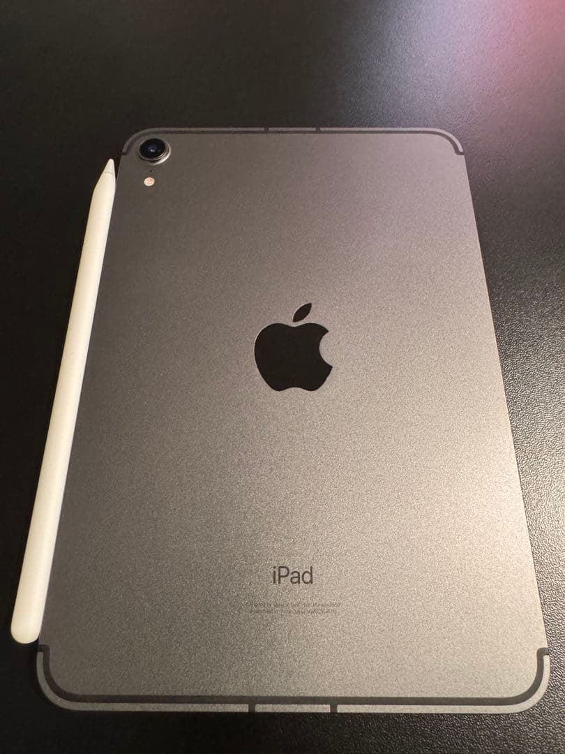 美品 iPadmini6 256G セルラー バッテリー95% + Pencil