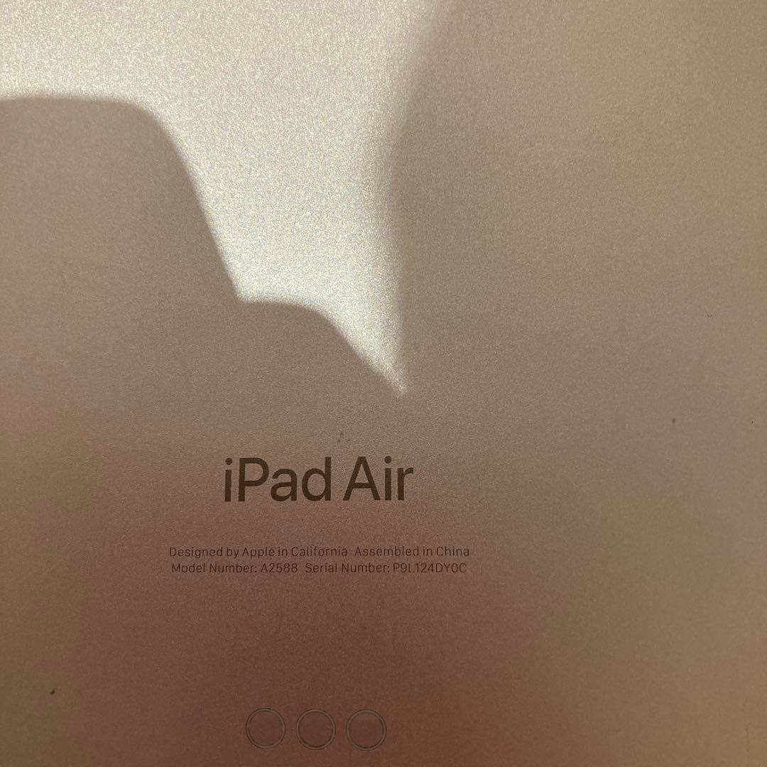 iPad Air 本体