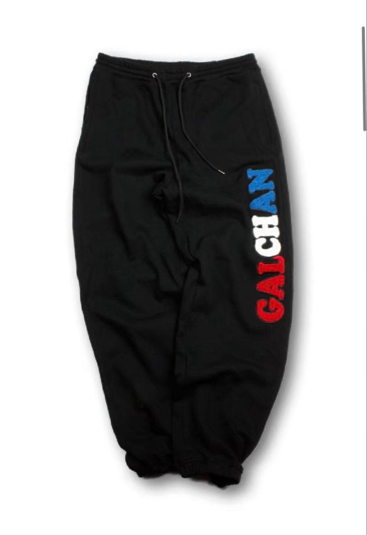 GALFY （ガルフィー）二代目わんわん大学 SETUP-BLACK 中型犬