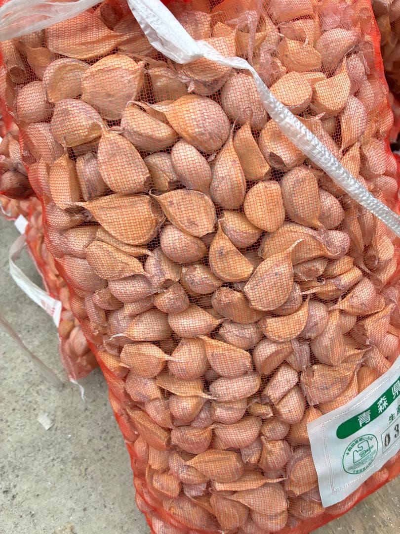 青森県にんにくタネ20Kg 消毒