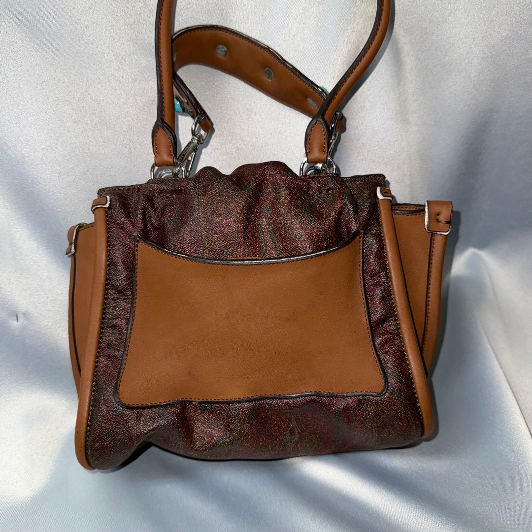 希少◾️エトロ　クラウン・ミー　コレクション　ペイズリー　レザーバック