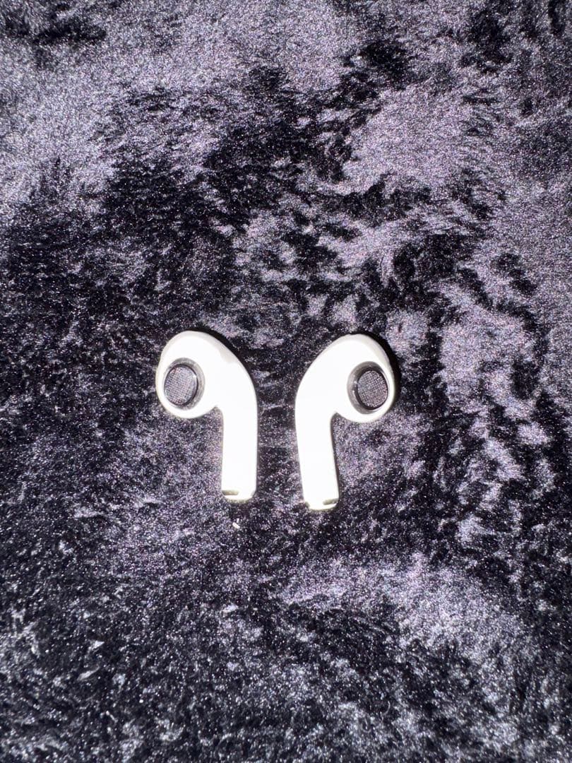 AirPods Pro 2 (Lightning) 本体+充電ケース