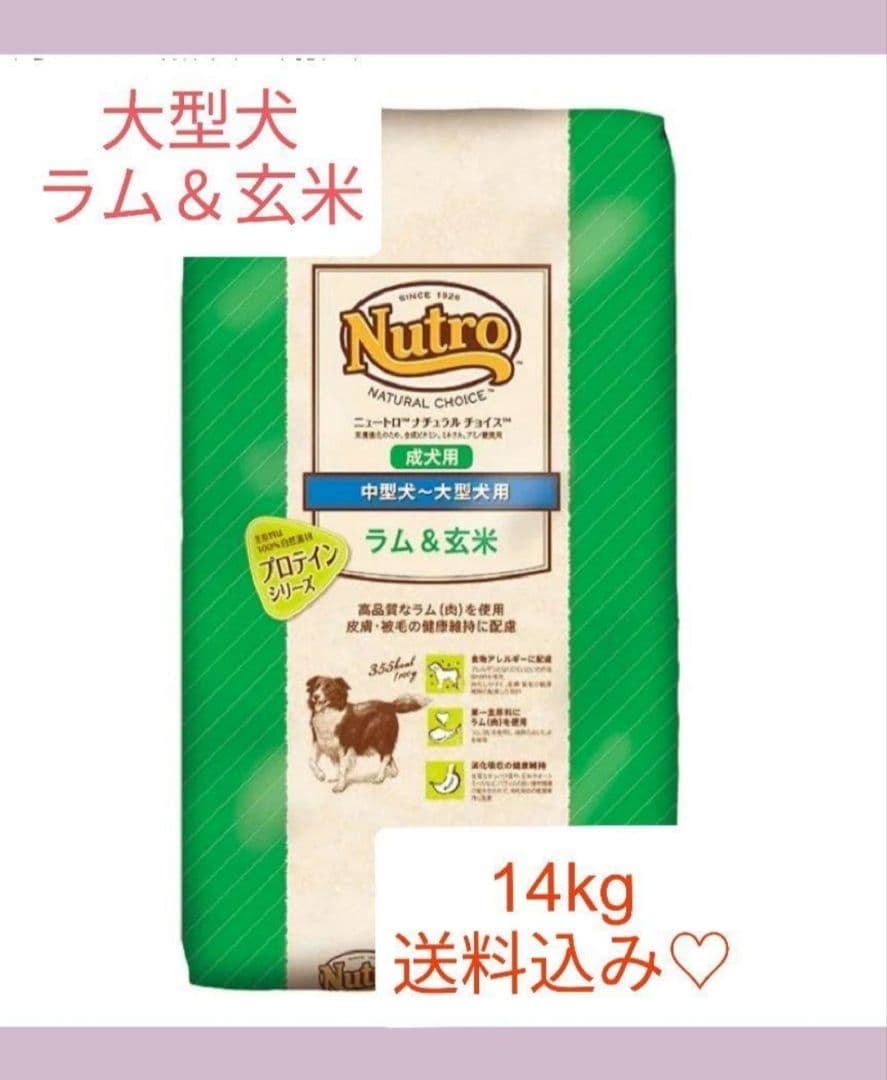 ニュートロ ナチュラル チョイス 中～大型犬用 成犬用 ラム＆玄米お値下げ不可