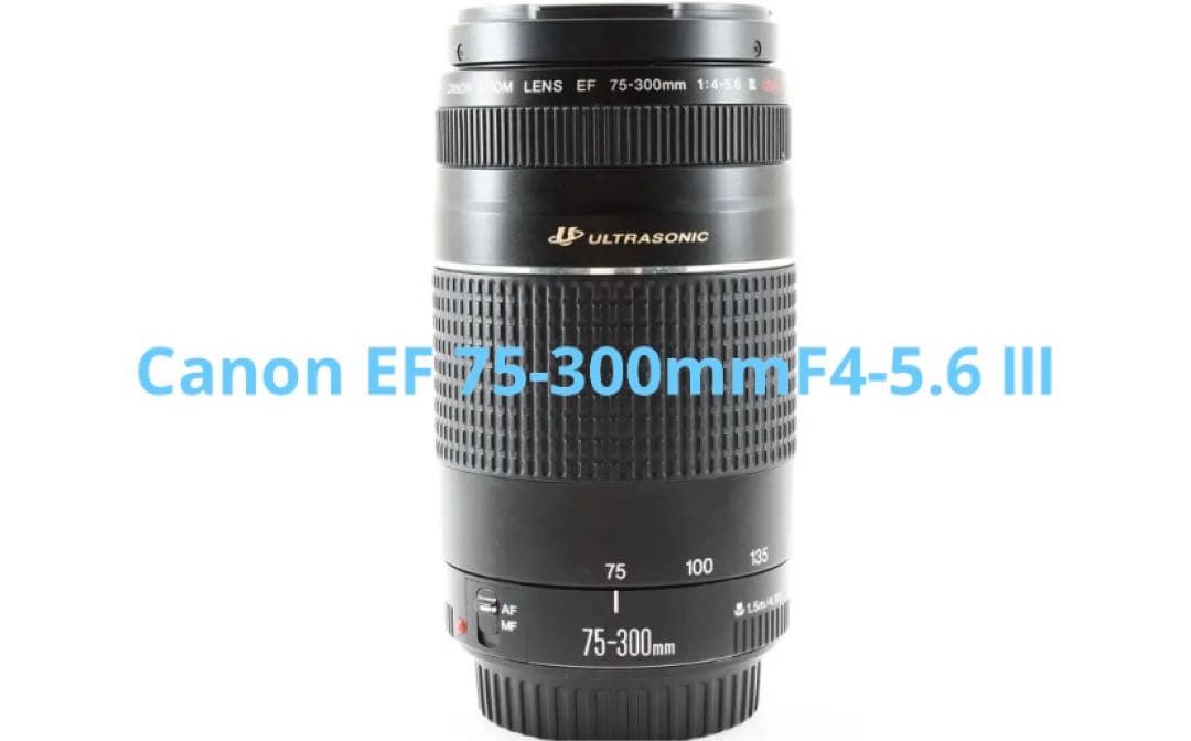 フルサイズ対応 Canon EF 75-300mm F4-5.6 Ⅲ USM