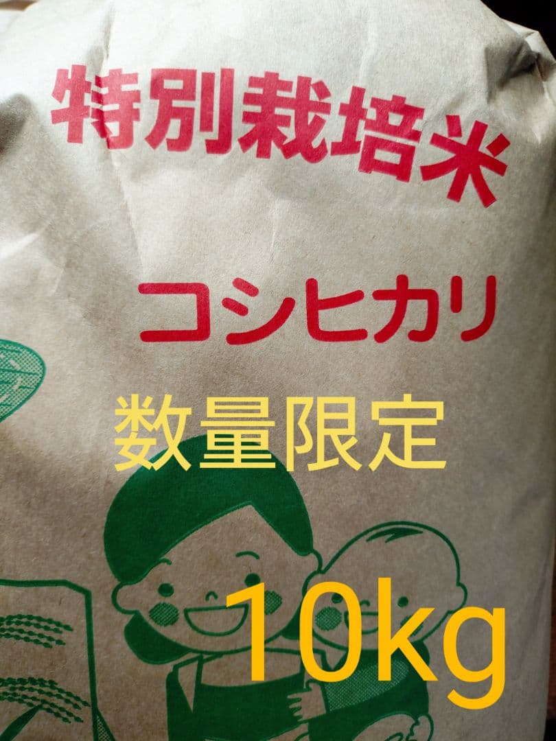 令和7年　特別栽培米コシヒカリ　10kg