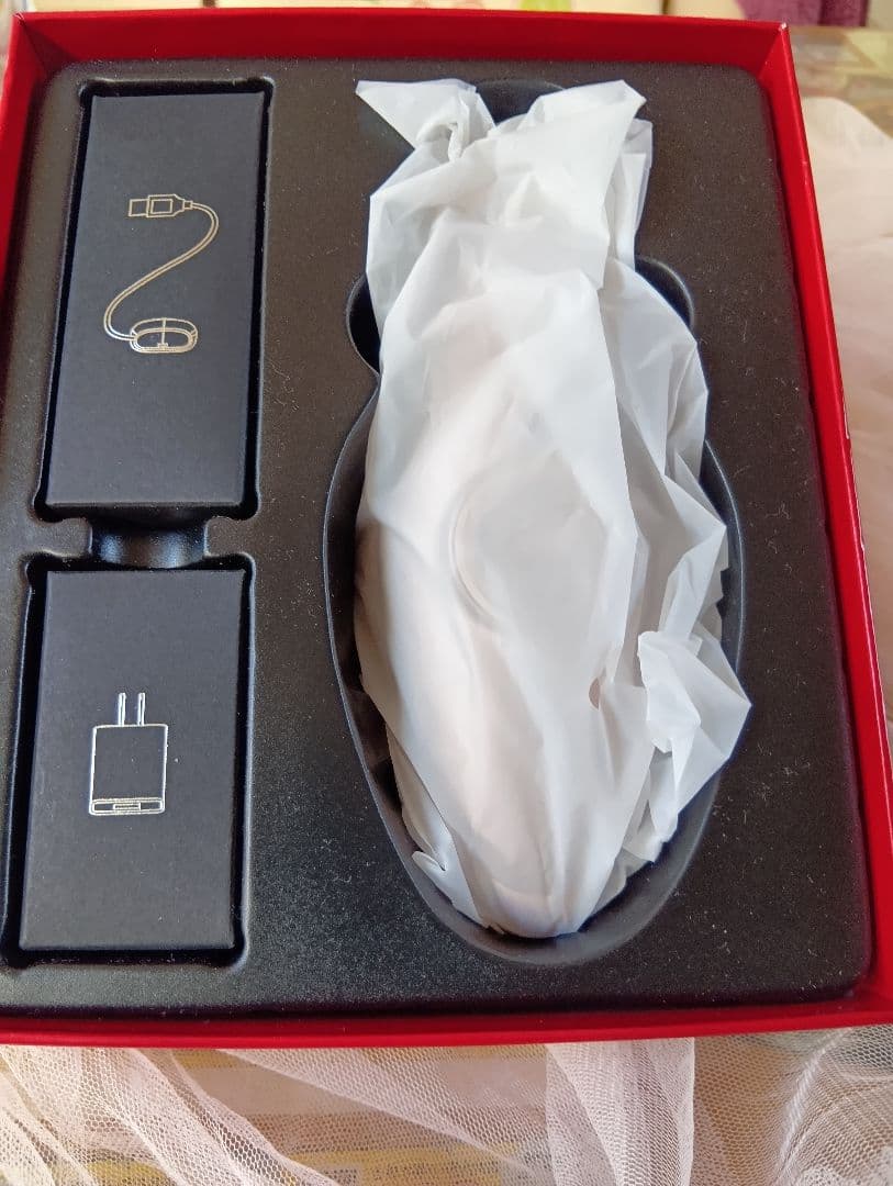 ECL-02 美顔器 充電器付き Ｉｋｋｏさんプロデュースラボンエクラ