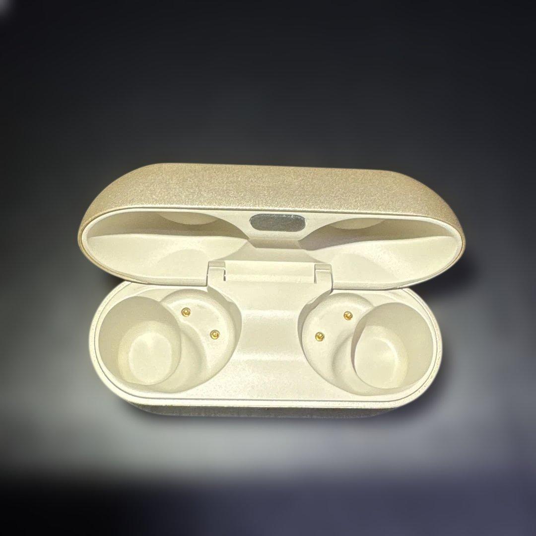 【美品】 Technics EAH-AZ100 ワイヤレスイヤホン