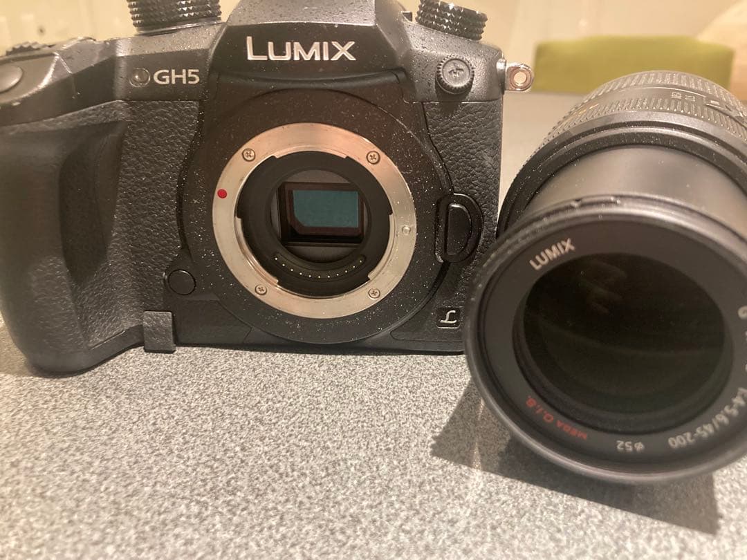 LUMIX GH5 + 45-200mmレンズ