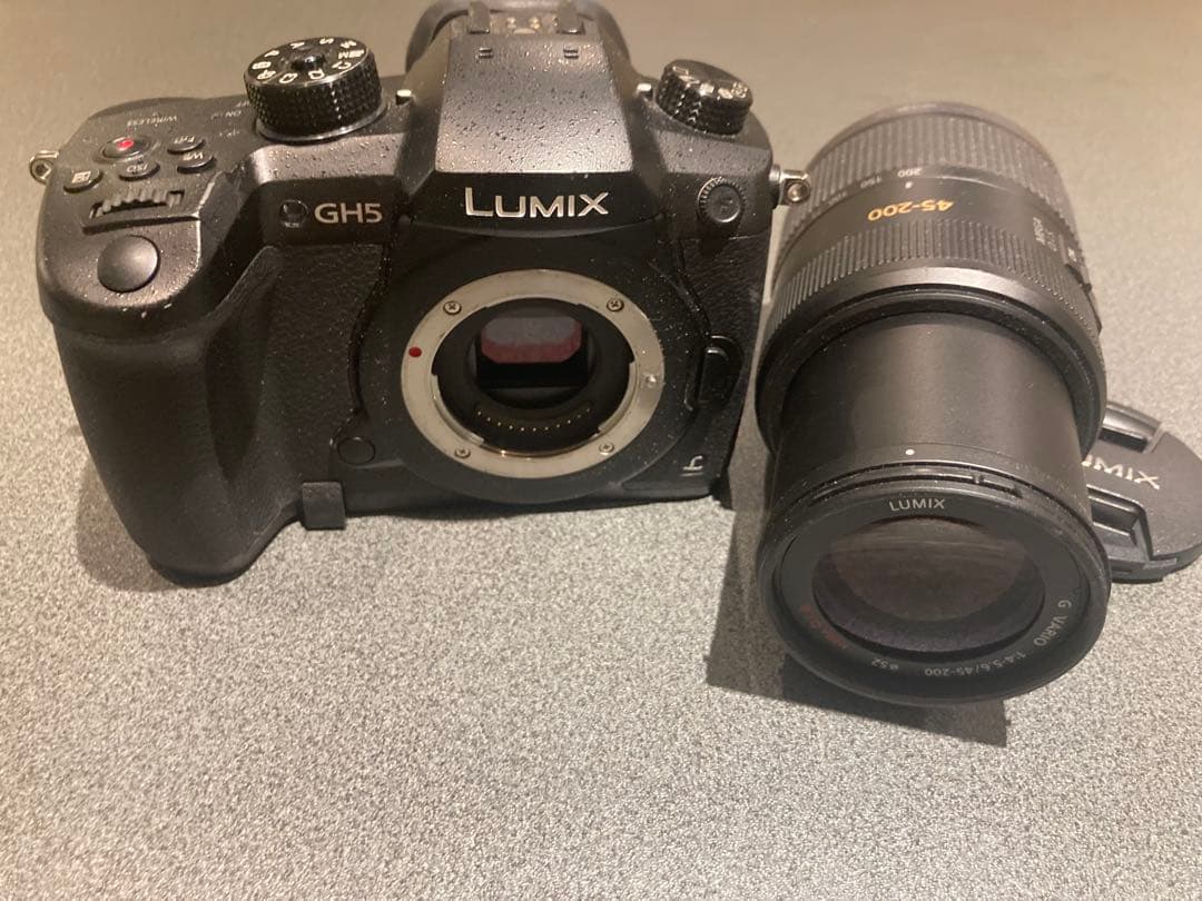 LUMIX GH5 + 45-200mmレンズ
