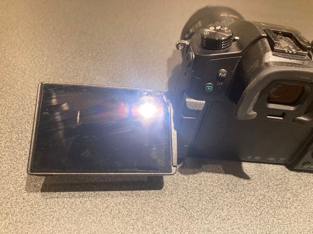 LUMIX GH5 + 45-200mmレンズ