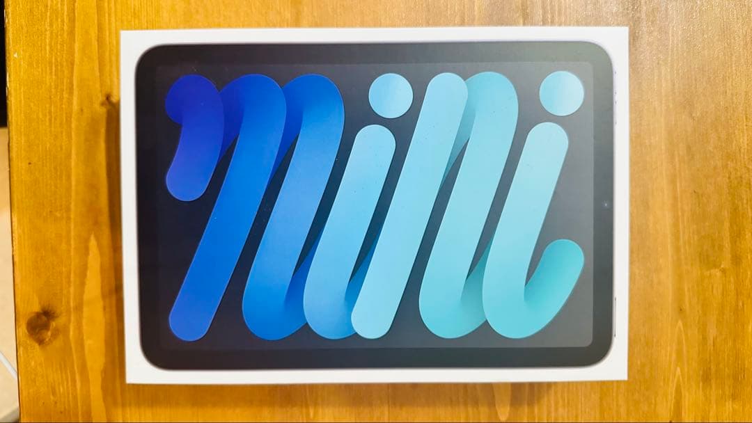 【美品】iPadmini6 スペースグレー　WiFi　256GB 純正カバー付き