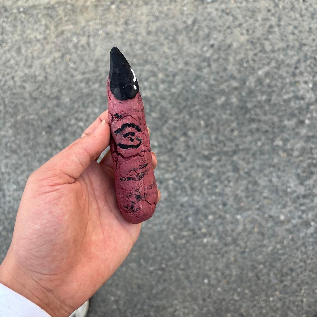 ⚠️返品不可⚠️百葉箱の中にあった指です笑笑