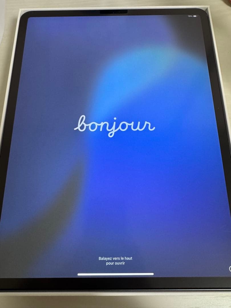 青りんごさん専用　iPad Pro 第4世代256GB 12.9インチ