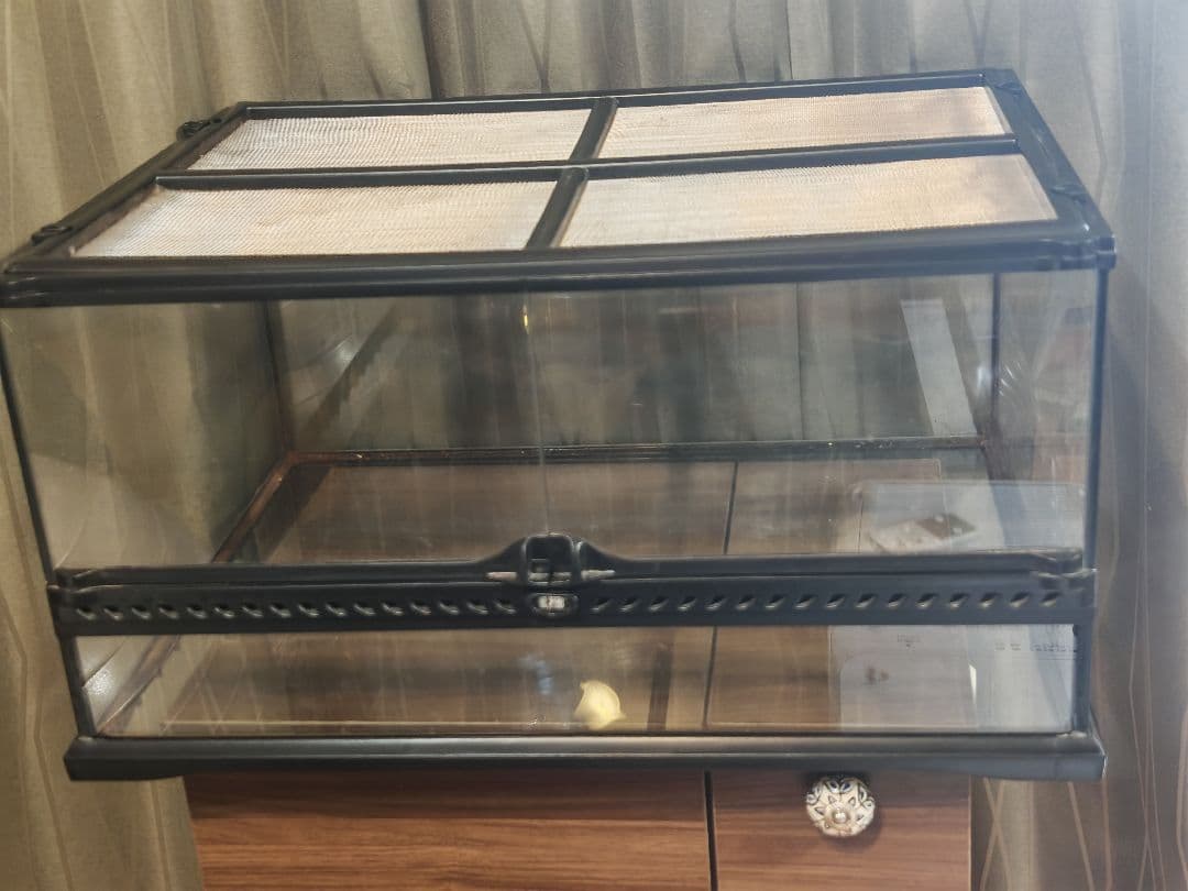 GEX グラステラリウム6030 爬虫類ケージ エキゾテラ