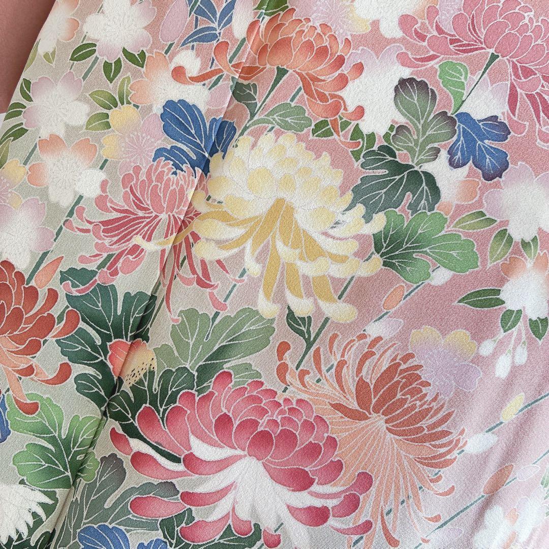 訪問着　フルセット　着物　正絹　友禅　比翼仕立　四季草花　春の華　J7 1月