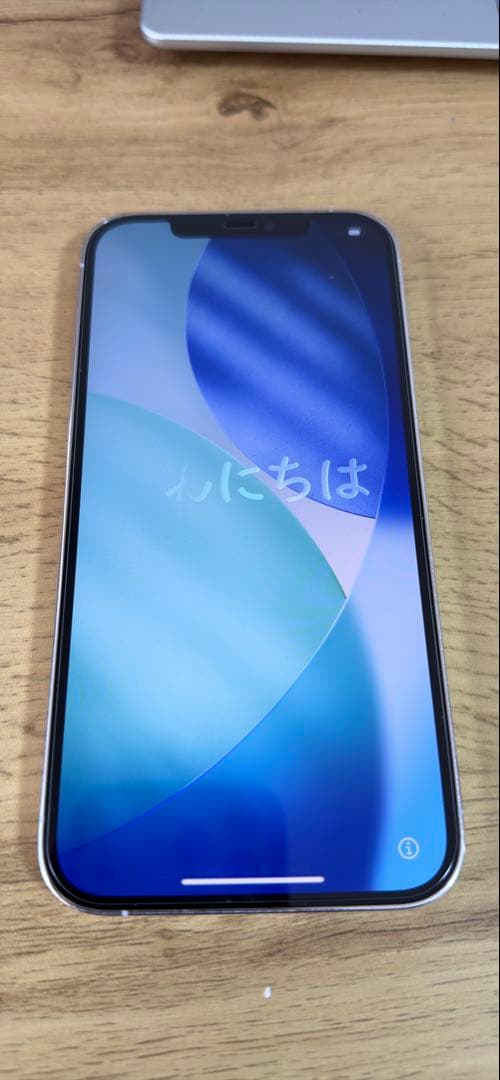 iPhone 12 Pro Max 512GB ワンオーナーケース保護フィルム付