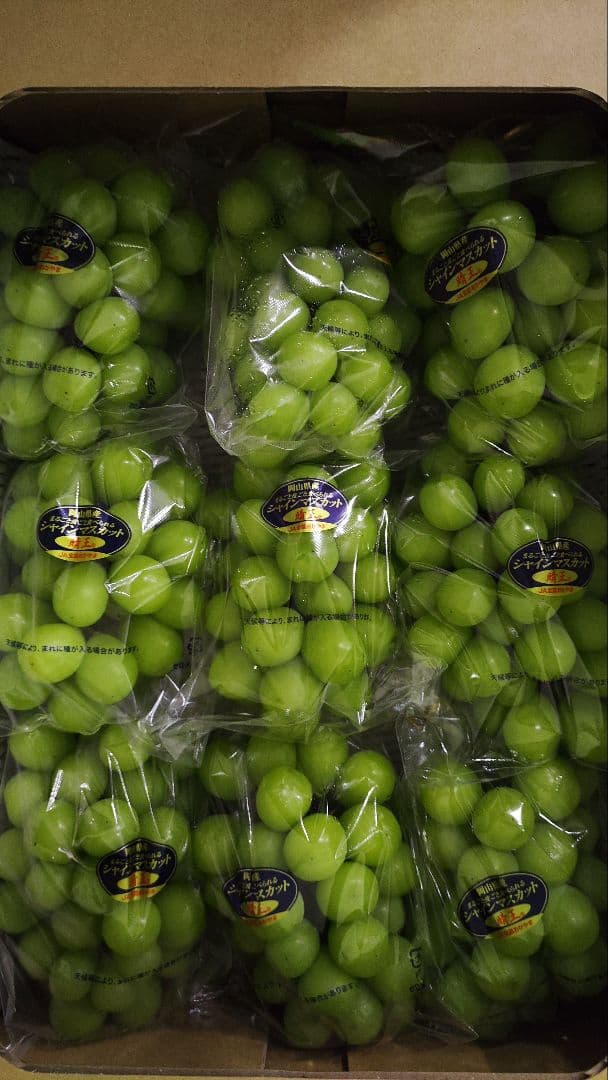 シャインマスカット　5キロ　8入　岡山県産