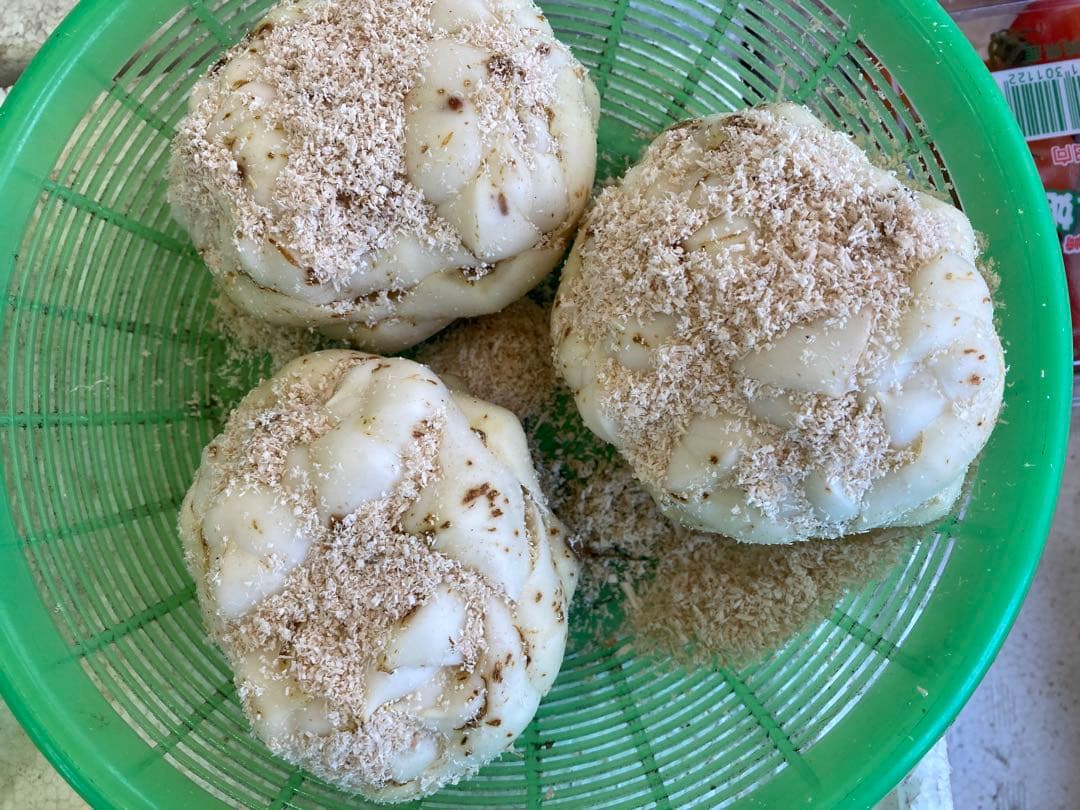 ゆりね　百合根　ゆり根　２Lサイズ33個入り ５k 北海道産