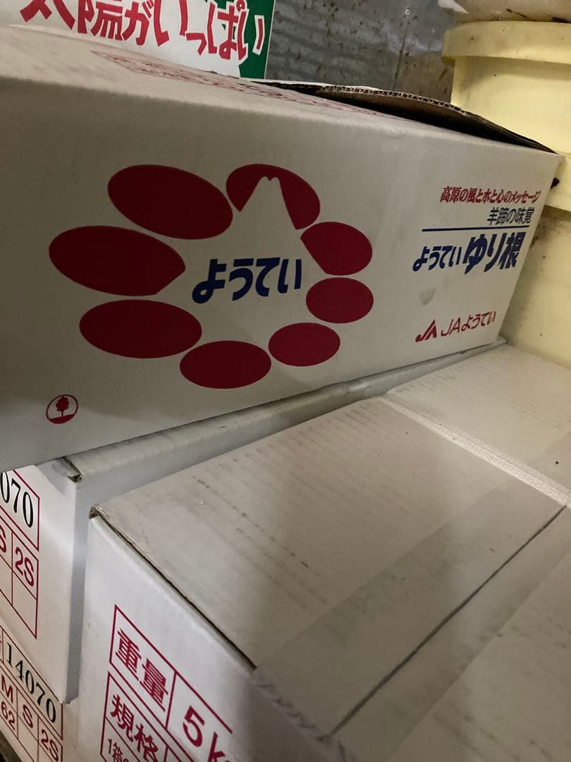 ゆりね　百合根　ゆり根　２Lサイズ33個入り ５k 北海道産