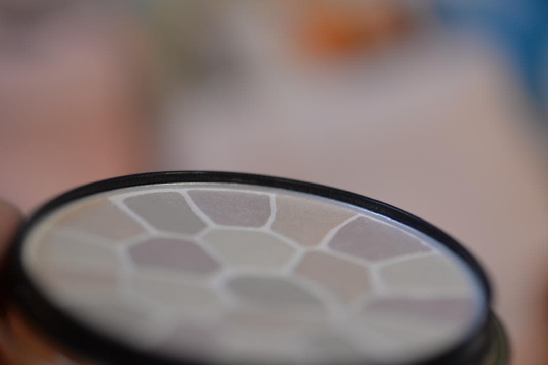 エレガンス　Ⅴ　フェイスパウダー