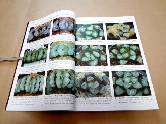 ★ ハオルシア品種名総覧 日本ハオルシア協会 ★