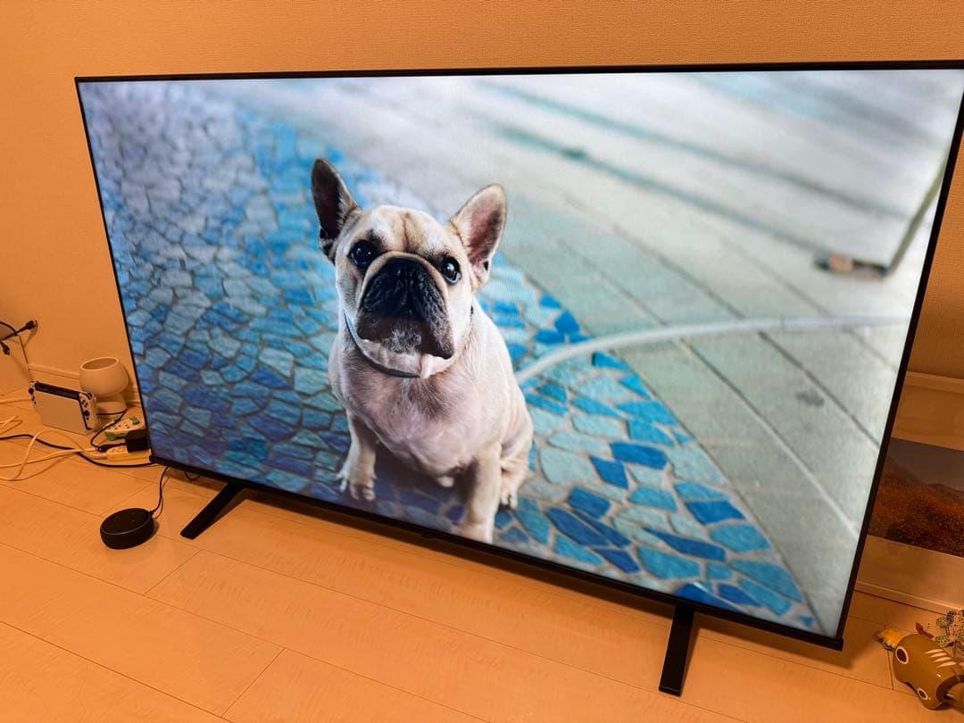 (ターボ)引取REGZA65型2025年1月購入TOSHIBA